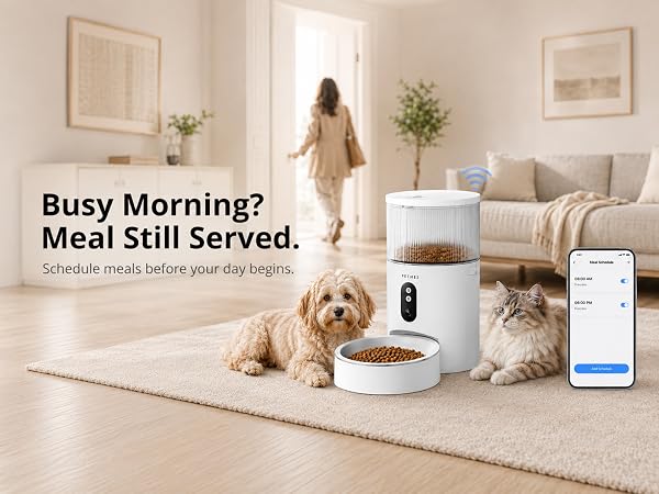 cat automatic feeder