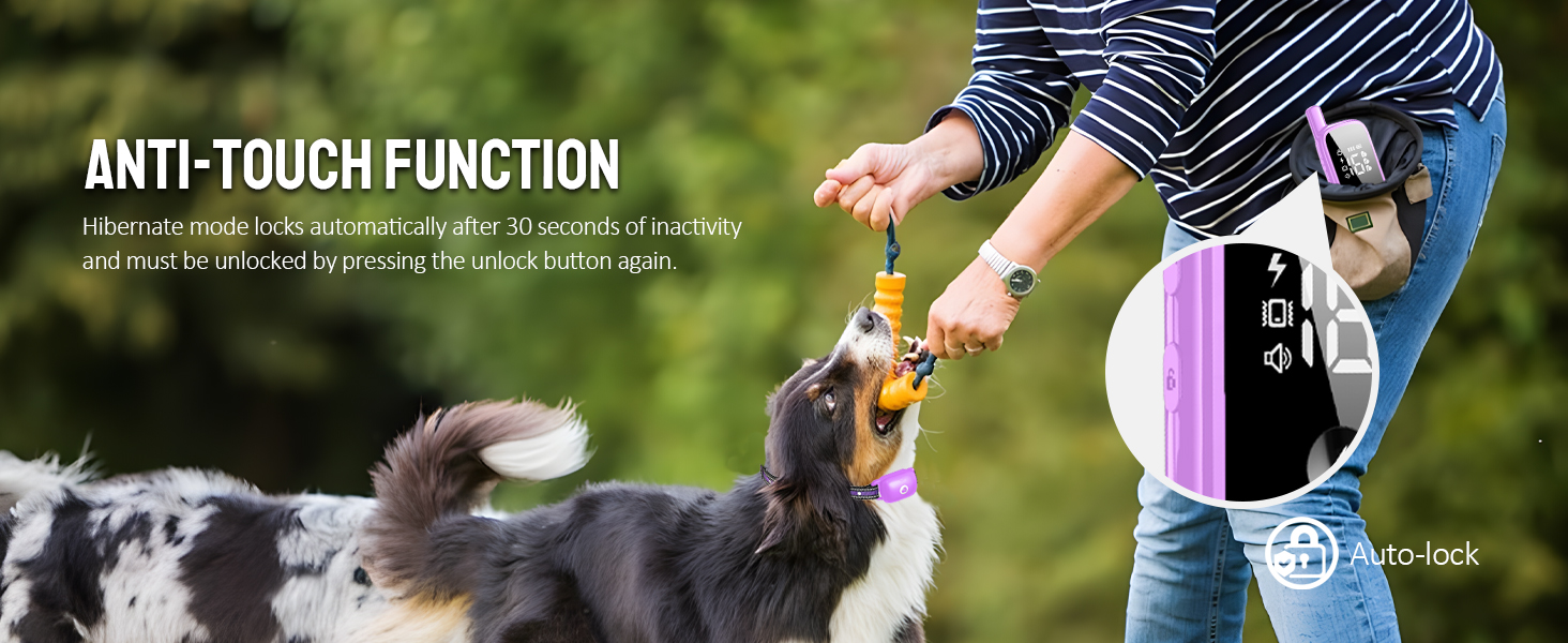 dog training collar