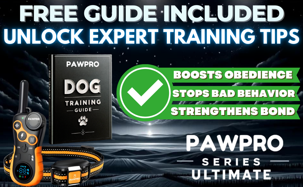dog shock collar