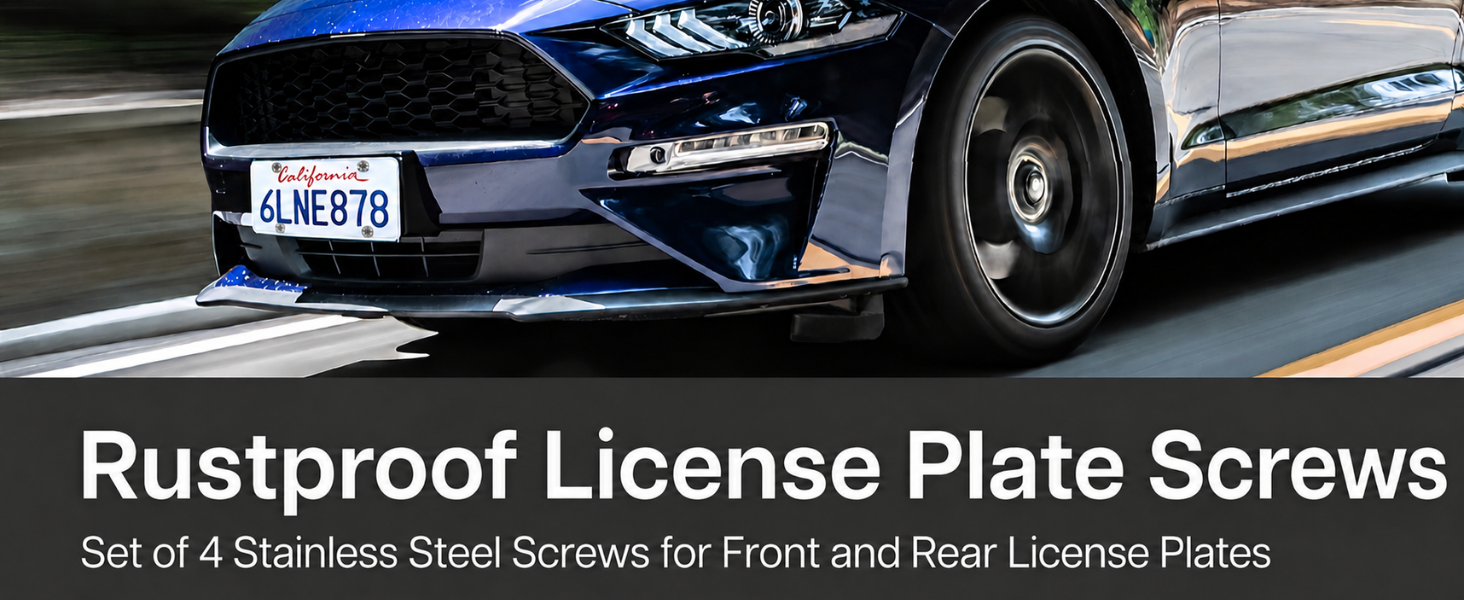 License Plate Screws