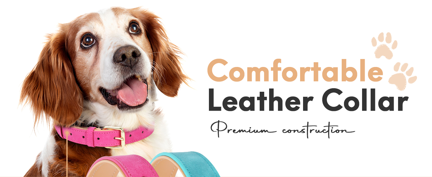 leather dog collar
