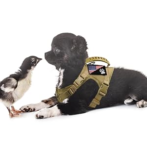 Tactical Dog Harness with Leash Tactical Puppy Vest with Rubber Handle K9 Military