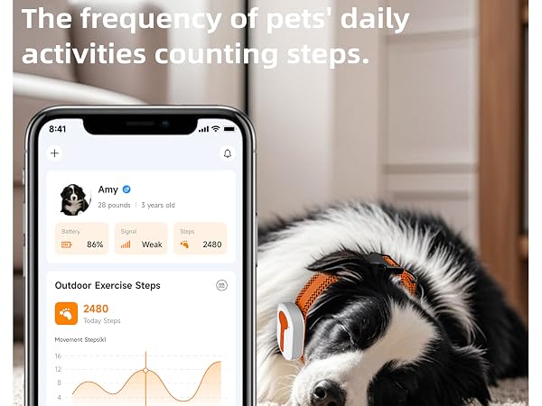 the frequency of pets' daily activities counting steps
