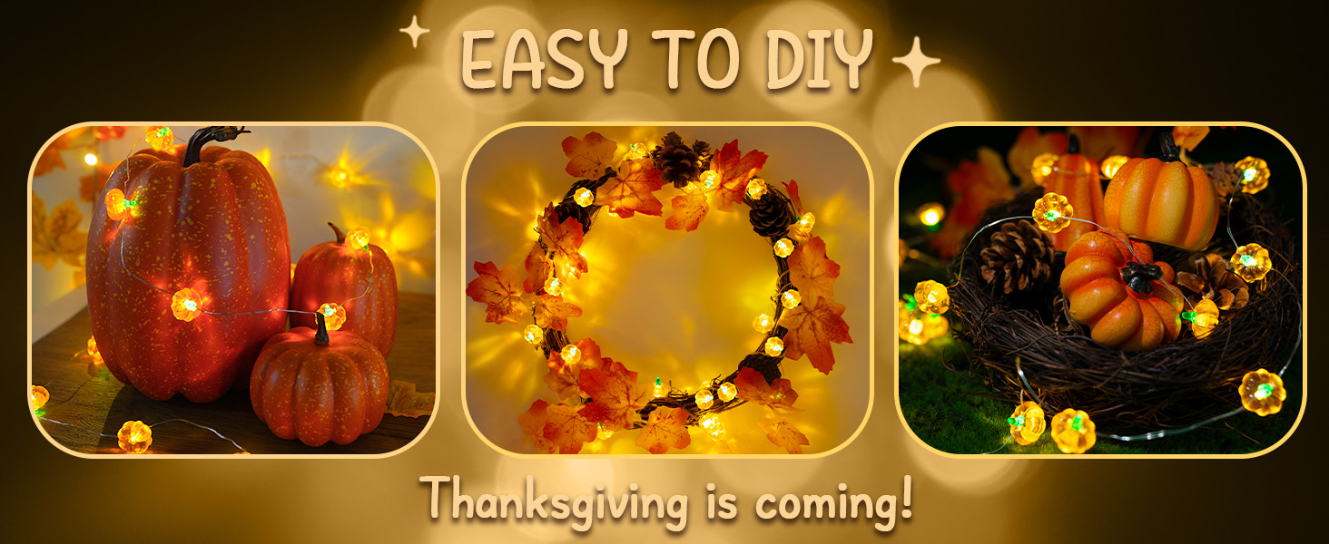 thanksgiving lights string
