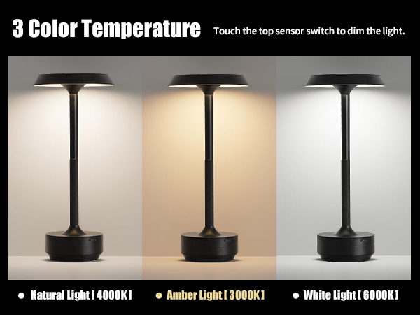 GKKBO Wireless Desk Lamp Rechargeable 5000mAh Battery Powered