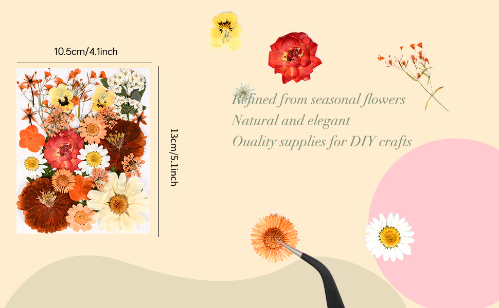 dried flowers for resin