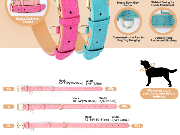 dog collar leather