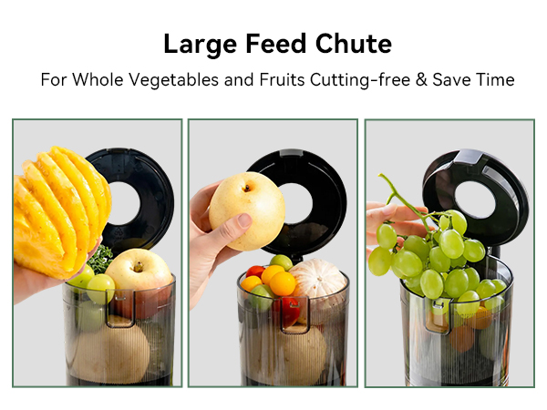 slow juicer