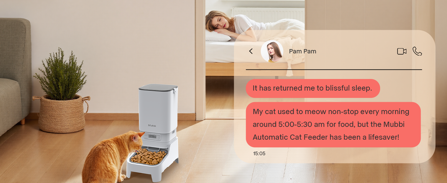 timed cat feeders for dry food
