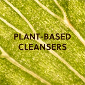 coco colada plant based cleansers hand wash