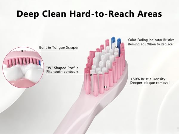 electric toothbrush