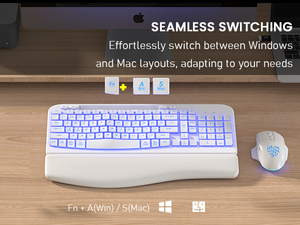 Win & Mac Layout