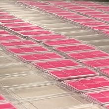 Pink Wax being poured