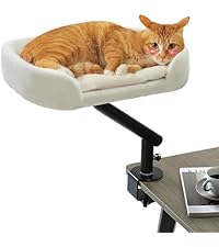 https://m.media-amazon.com/images/I/41R1cLaXxOL.__AC_SR200,225___.jpg