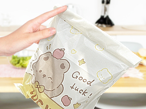 car trash bag
