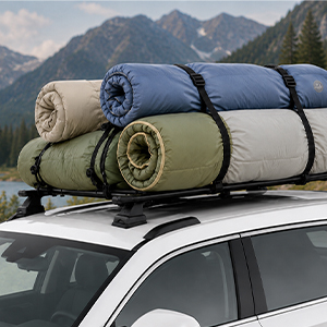 suitcase strap