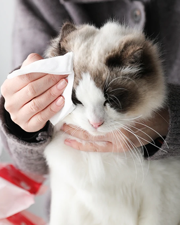 Heating Towel Machine