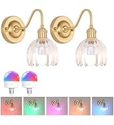 Shenmoyl Vintage Battery Operated Wall Sconce Set of 2, 5000mAh Rechargeable Wall Light, Indoor B...