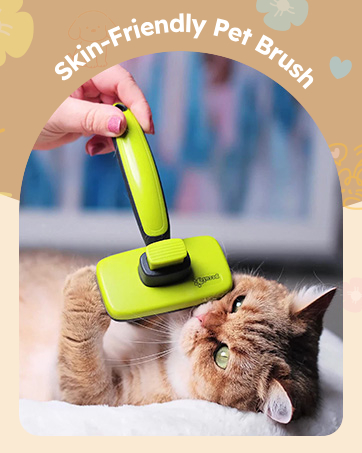 pet brush