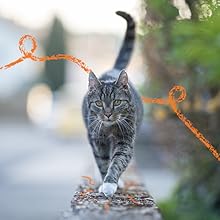 Pet Mobility Issues