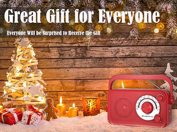WENPZERAY D218 Portable radio ideal for indoor and outdoor use