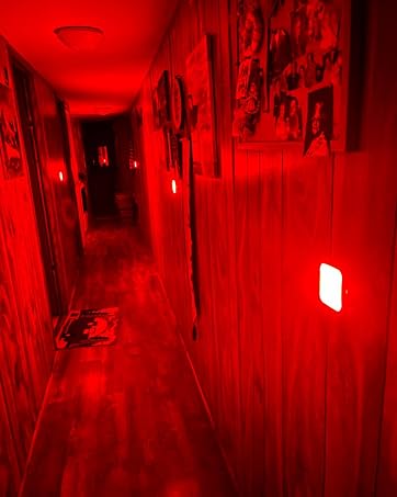 Motion Sensor Red Night Lights