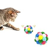 Andiker Cat Ball Toy, 2PCs Colorful Cat Balls for Doing Exercise and Plush Ball Toy, Interactive ...