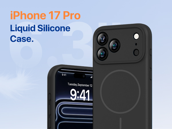 17 pro case