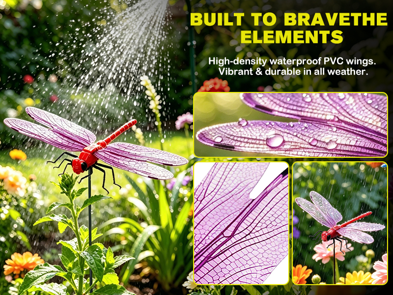 dragonflies to keep bugs away