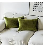 Demetex Lumbar Throw Pillow Covers, Rectangle Accent Decorative Pillows Set of 2, Velvet Pillow C...