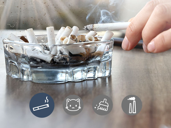 air purifier