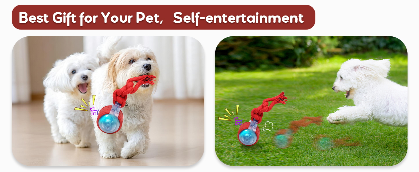 dog toys gift