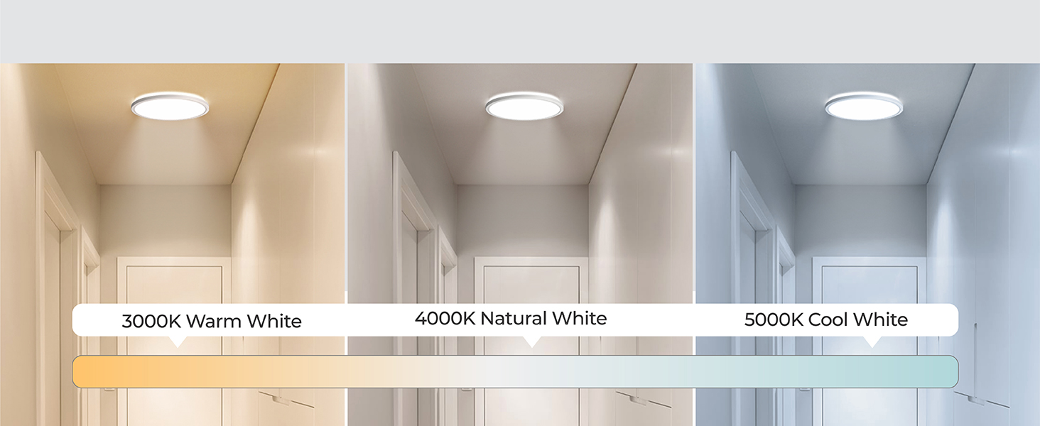 Motion Ceiling Light