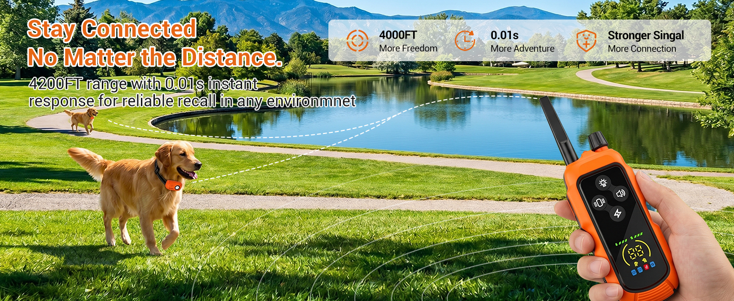 dog training collar with remote