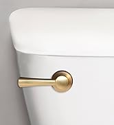 brushed gold toilet handle