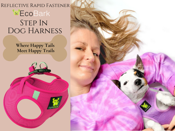 dog harness teacup dog harness teacup harness dog harness for small dogs small dog harness