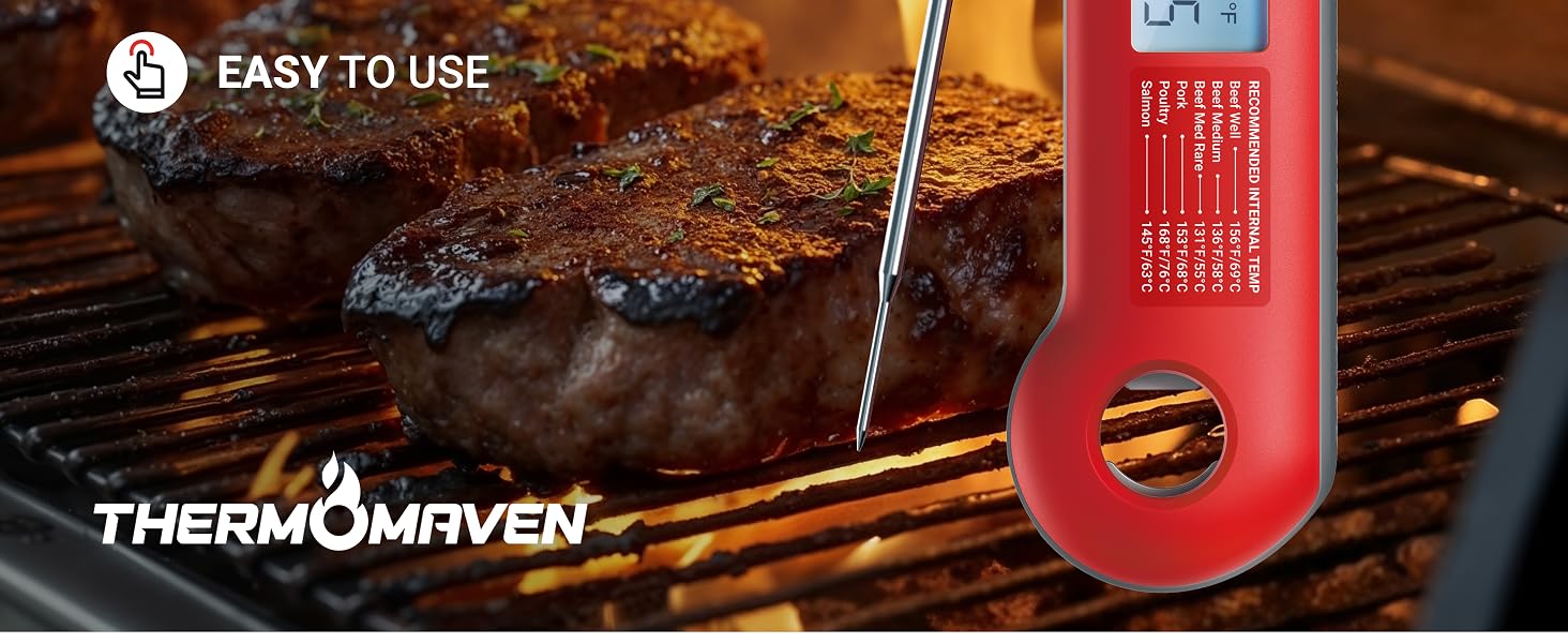meat thermometer digital