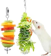 2Pcs Rat Enrichment Toys, 304 Stainless Steel Foraging Toy, Fruit & Vegetable Holder for Mice, Ha...