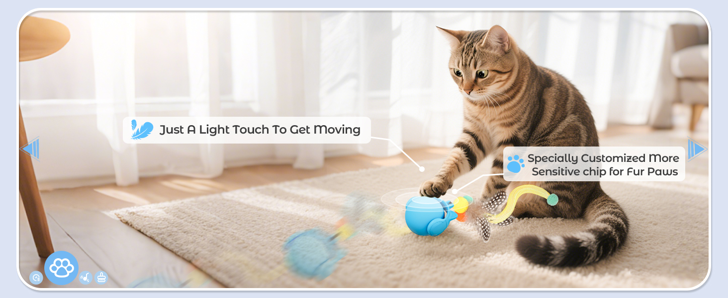 orsda cat toy