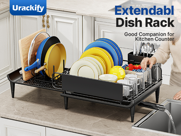 Extendabl Dish Rack