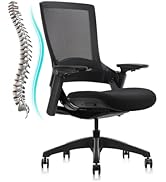 CLATINA Swivel Executive Chair, Adjustable Ergonomic Computer Chair with 3D Armrest and Lumbar Su...