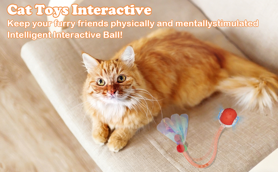 Automatic Moving Ball with Tail