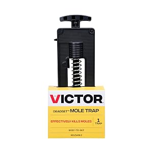 Victor Deadset Mole Trap