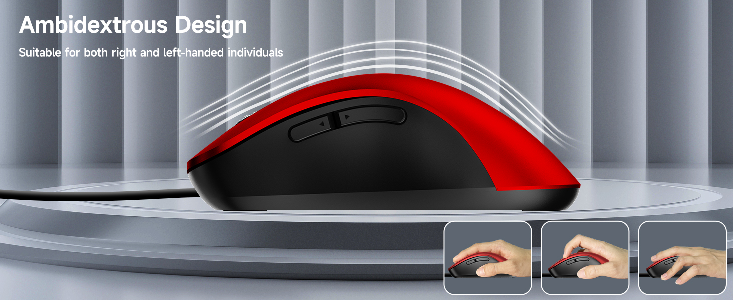 mouse