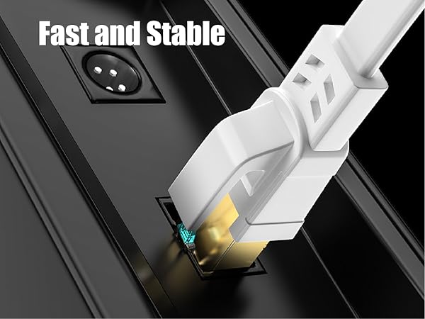 Ethernet Cable 100 ft