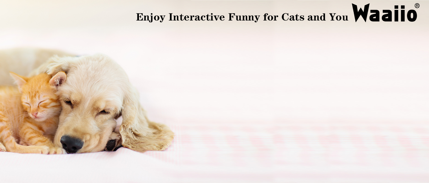 cat toys for indoor cats