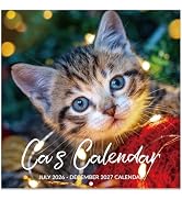 Calendar 2026-2027 - Wall Calendar 2026-2027, Jul. 2026 - Dec. 2027, 12" x 24" 26-27 Wall Calenda...
