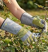 Woman gloves