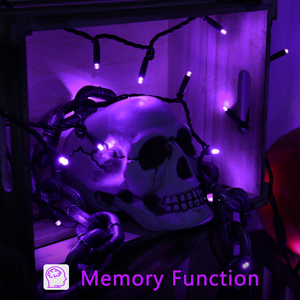 Purple Mini Lights