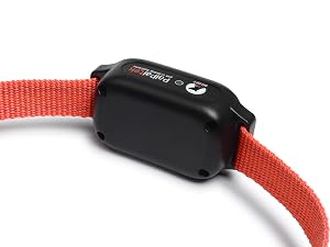 vibrate collar dog vibrating collar dog buzz collar dog beeping collar with remote